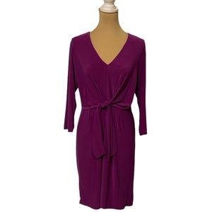 NWT Emma & Michele Wrap Front Long Sleeve V Neck Dress